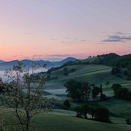 A Casa Di Matisse - Appartamento Vacanze Urbino Buitenkant foto
