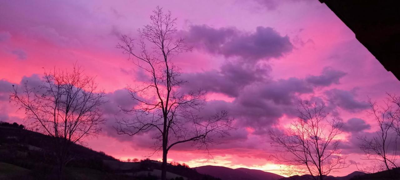 A Casa Di Matisse - Appartamento Vacanze Urbino Buitenkant foto