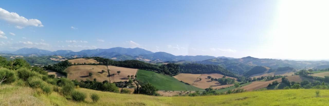 A Casa Di Matisse - Appartamento Vacanze Urbino Buitenkant foto
