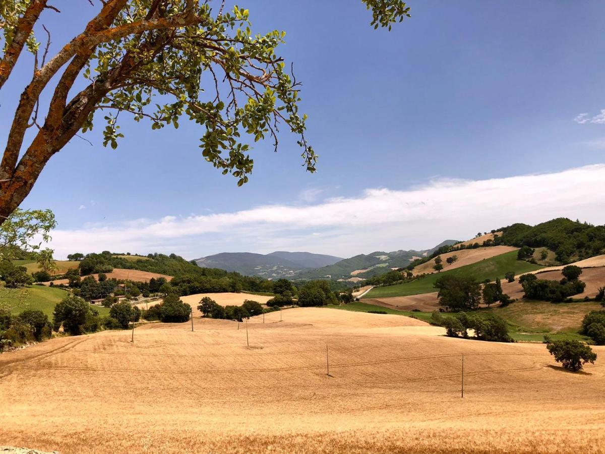 A Casa Di Matisse - Appartamento Vacanze Urbino Buitenkant foto