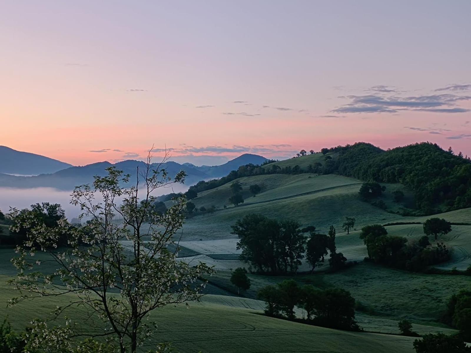 A Casa Di Matisse - Appartamento Vacanze Urbino Buitenkant foto