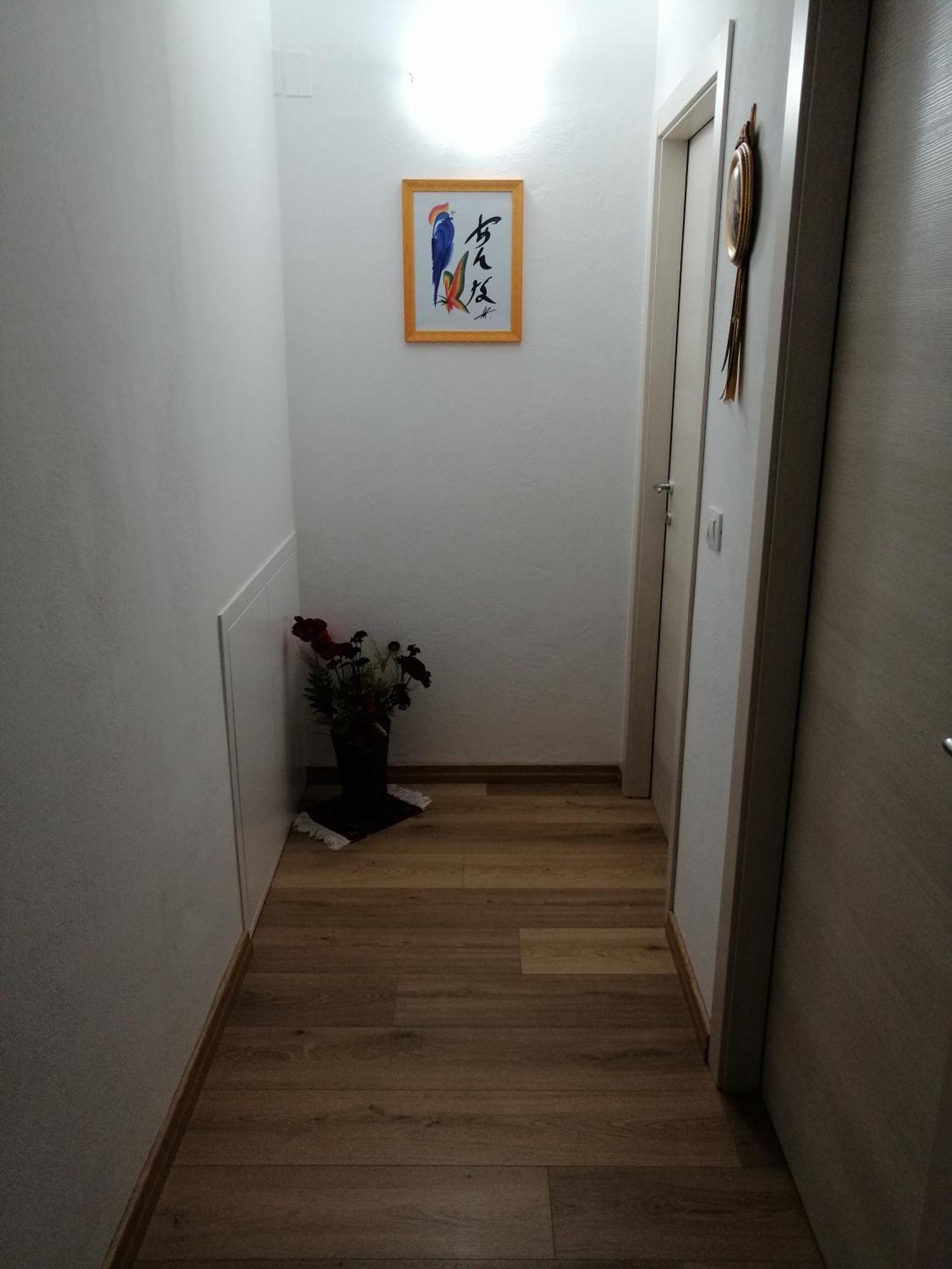 A Casa Di Matisse - Appartamento Vacanze Urbino Buitenkant foto